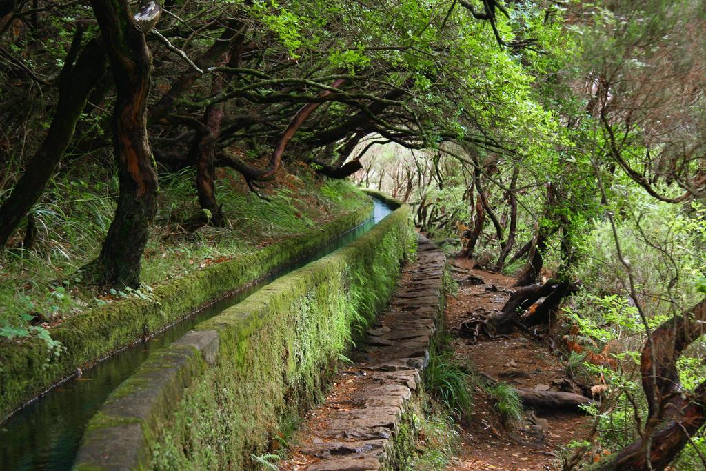 Sweet Funchal Centro By Hr Madeira * Funchal (Madeira)